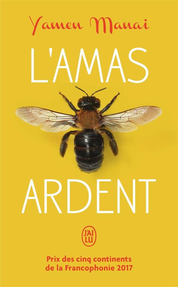  L'amas ardent 