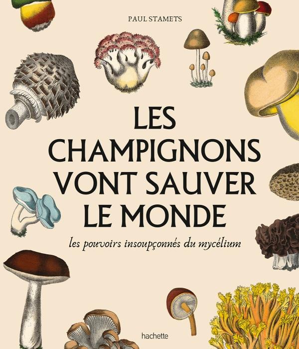  Les champignons vont sauver le monde 