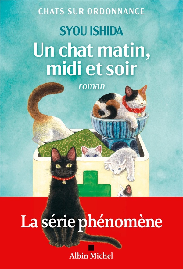  Un chat matin, midi et soir 