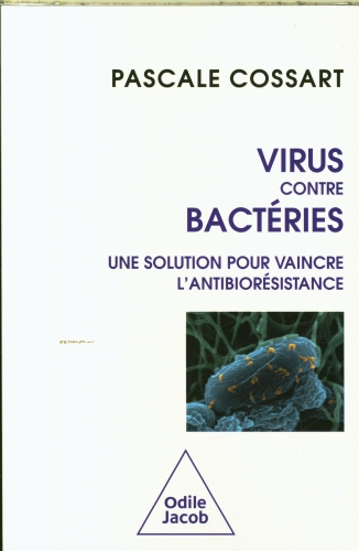  Virus contre bactéries 