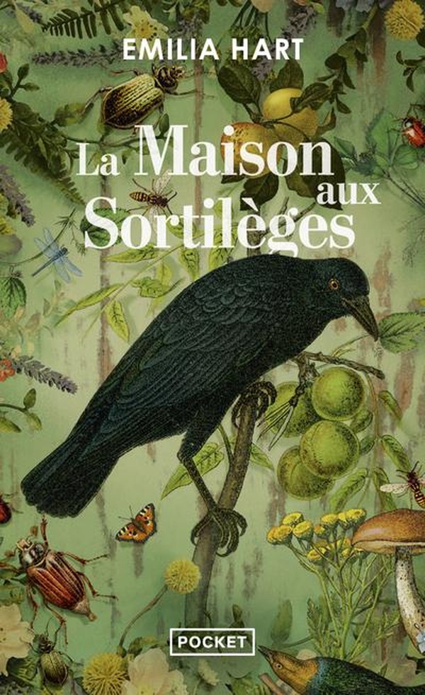  La maison aux sortilèges 