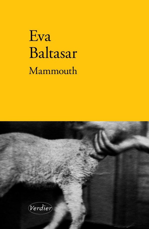  Mammouth 