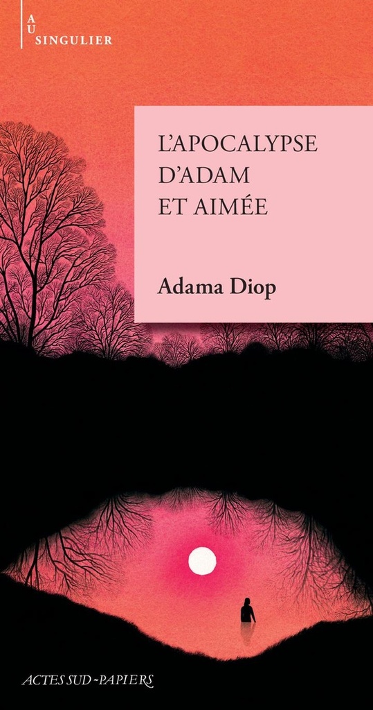  L'apocalypse d'Adam et Aimée 
