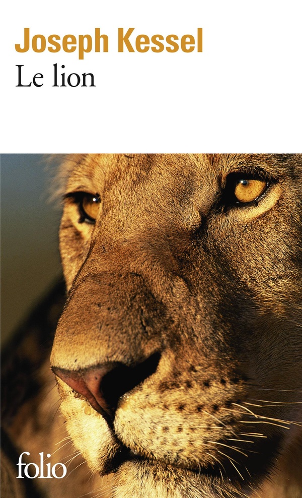  Le lion 