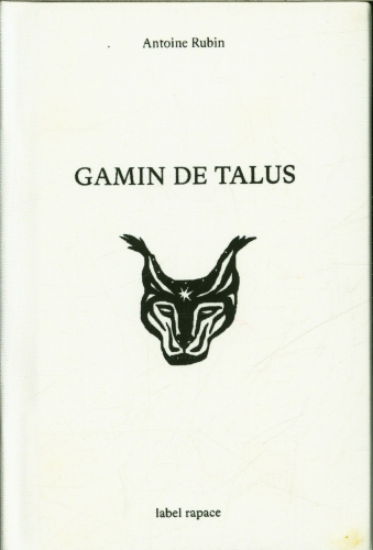  Gamin de talus 