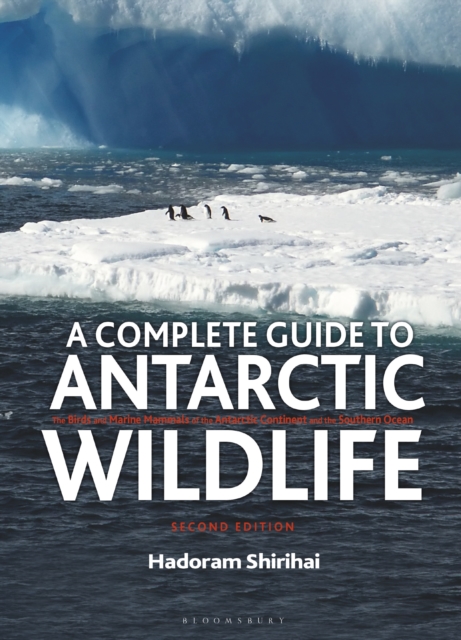  Complete Guide to Antarctic Wildlife 
