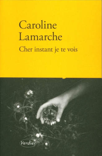  Cher instant je te vois : récit 