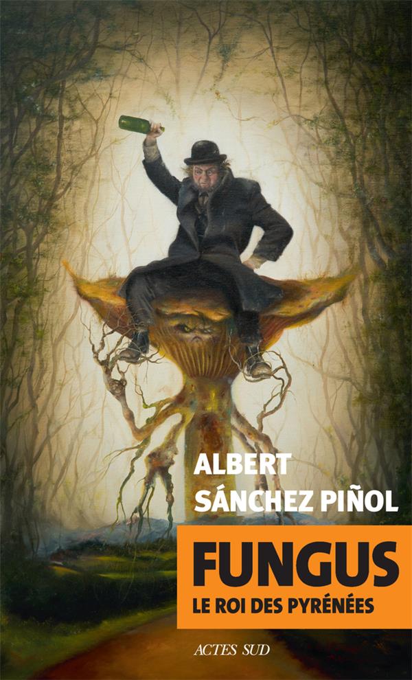  Fungus : le roi des Pyrénées 