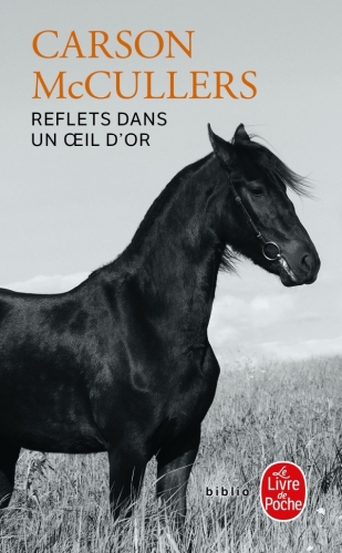 [5918208]  Reflets dans un oeil d'or 