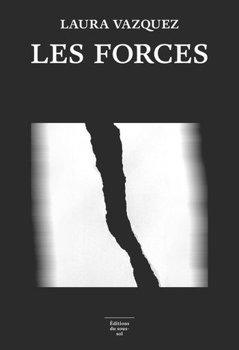[10191062]  Les forces 