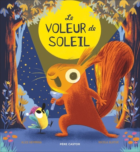 [10152472]  Le voleur de soleil 