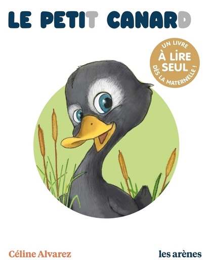 [9148081]  Le petit canard 