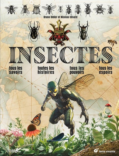 [10226982]  Insectes 
