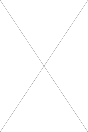 [10252455]  Les Mouches D'Automne 