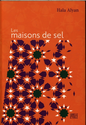 [9963291]  Les maisons de sel 