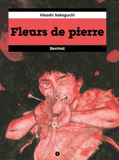 [9724637]  Fleurs de pierre. Tome 2 