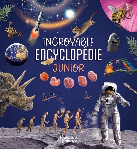 [10165233]  Incroyable encyclopédie junior 