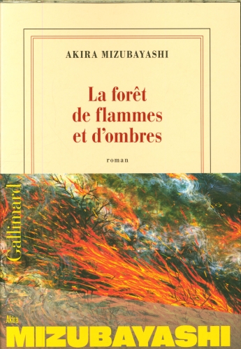 [10182293]  La forêt de flammes et d'ombres 
