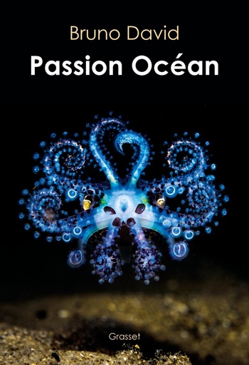 [10411911]  Passion océan 