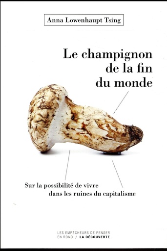 [7791900]  Le champignon de la fin du monde 