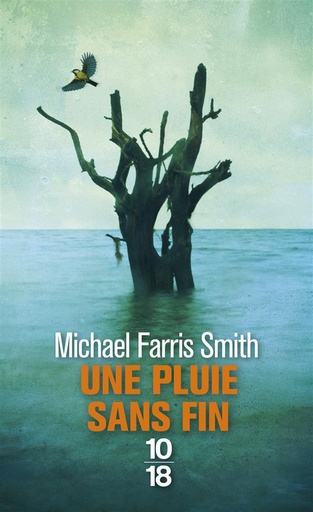 [7482288]  Une pluie sans fin 