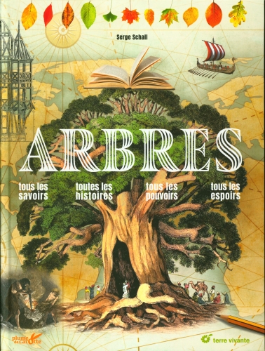 [9526469]  Arbres 