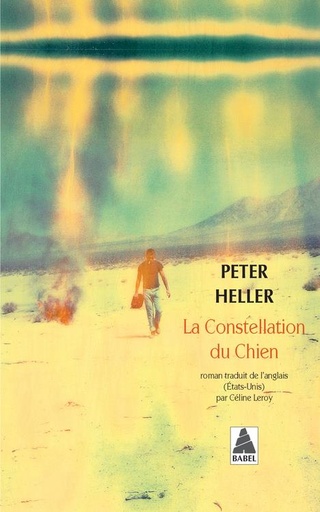 [8886004]  La constellation du chien 
