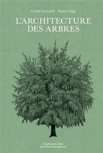 [8878983]  L'architecture des arbres 